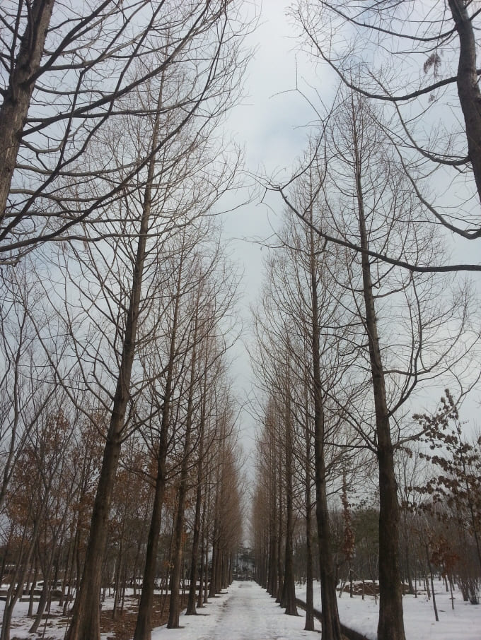 원광대학교 캠퍼스 갤러리 풍경